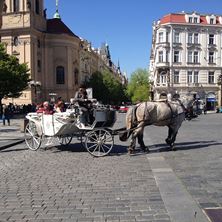 Picture of Horse & Carriage