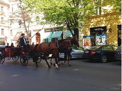 Picture of Horse & Carriage