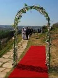 Picture of Prague Botanical Garden Symbolic Ceremony