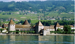 Picture of SWISS Rolle Castle 