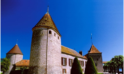 Picture of SWISS Rolle Castle 