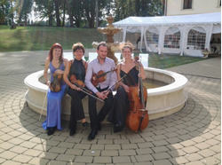 Picture of Melody Quartett