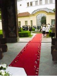 Picture of Red carpet