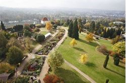 Picture of Ceremony Package Prague Botanical Garden with Legalities