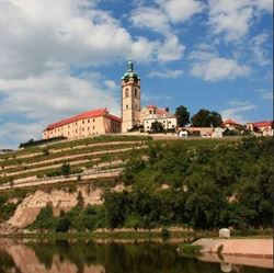 Picture of Chateau Melnik