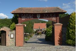 Picture of Michael Farm