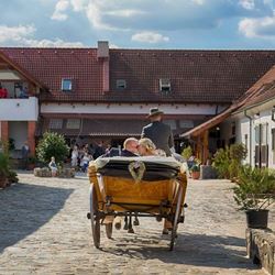 Picture of Heroutice farm