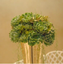 Picture of Flower package by Wedding Flowers.cz