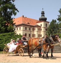 Picture of Chateau Lnare