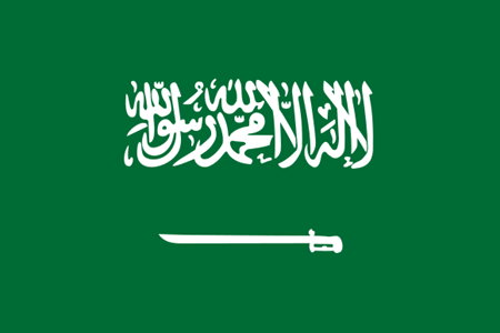 Picture of Saudi Arabia legalities