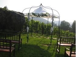 Picture of Prague Botanical Garden Symbolic Ceremony