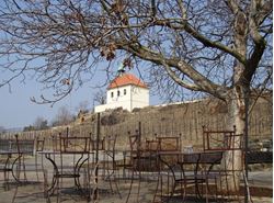 Picture of Prague Botanical Garden Symbolic Ceremony