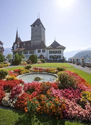 Picture of SWISS Spiez Castle 