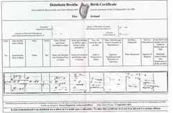 Picture of Ireland legalities