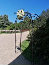 Picture of Wedding Arch