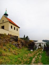 Picture of Ceremony Package Prague Botanical Garden with Legalities